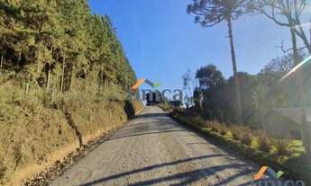 Imagem 6: Terreno - Campo Alegre/SC