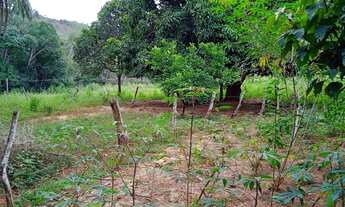 Imagem 4: Fazenda para Venda em Diamantina, Senador Mourão, 2 dormitórios, 2 banheiros