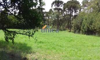 Imagem 7: Chácara - CAMPO ALEGRE/SC