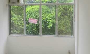 Imagem 3: Grajau ótimo apto rua Comendador Martinelli 295mil