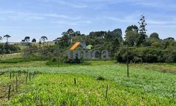 Imagem 5: CHÁCARA EM CAMPO ALEGRE/SC