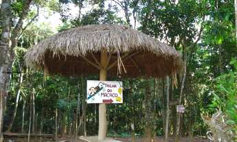 Imagem 2: Sítio para Venda em Mogi das Cruzes, Botujuru, 3 dormitórios, 1 suíte, 3 banheiros, 8 vaga