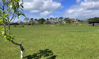 Imagem 5: Terreno à venda, 800 m² por R$ 550.000,00 - Ingleses do Rio Vermelho - Florianópolis/SC