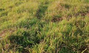 Imagem 5: Lotes Terreno / lote com venda por R$30.000