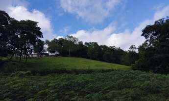 Imagem 5: Vendo Chácara em laj. Pilão - Alecrim -RS