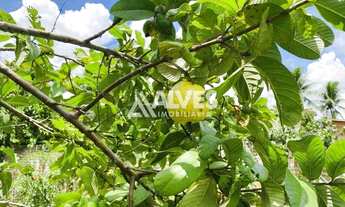 Imagem 6: SÍTIO COM TERRENO COM 2.178 M2 NA REGIÃO DA AV. NOÍDE CERQUEIRA