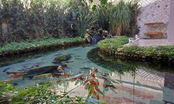 Imagem 7: Casa na Santa Rosália