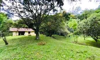 Imagem 3: Vendo chácara com bastante agua 110 mil em domingos Martins