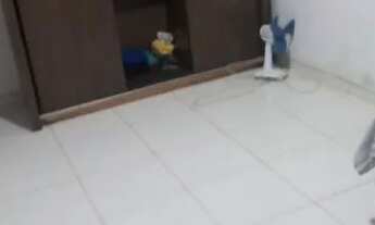 Imagem 4: Casa 10 cômodos quintal e garagem