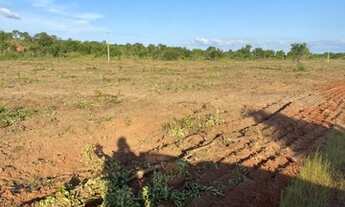 Imagem 5: Fazenda em novo acordo Tocantins