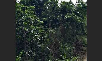 Imagem 2: R$120.000 Chácara com venda por R$120.000