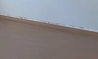 Imagem 4: Aluguel Apartamento com 2 dormitórios