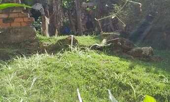 Imagem 2: Mini Sítio 3000m², 2 casas no Mendanha