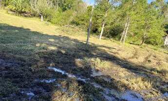 Imagem 5: Sítio Plano E Com Nascente Para Fazer Açude. ROB:608