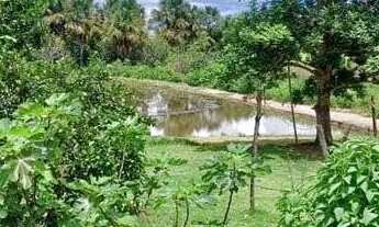 Imagem 6: CHÁCARA NA ESTRADA PARA VALADARES