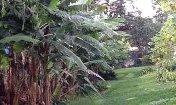 Imagem 2: TERRENO - MORUMBI - SP