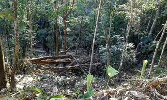 Imagem 6: Terreno Rural Santo Amaro da Imperatriz