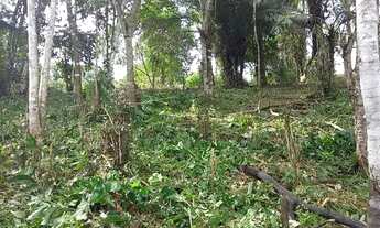 Imagem 3: Terreno km4 antonina pr