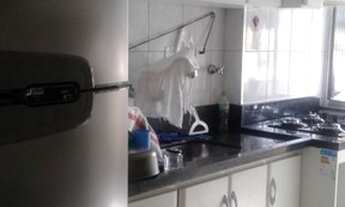 Imagem 6: APARTAMENTO - JARDIM UMARIZAL - SP