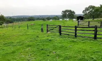 Imagem 7: Fazenda 59 alqueires 42 km de Porto Nacional Tocantins
