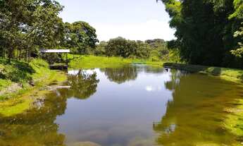 Imagem 5: Chácara em Cromínia