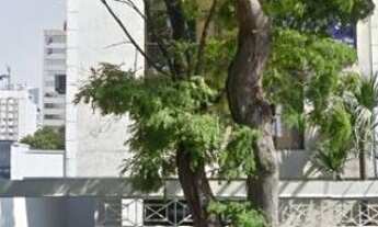 Imagem 2: Locação Predio Sao Paulo Itaim Bibi Ref: 3551