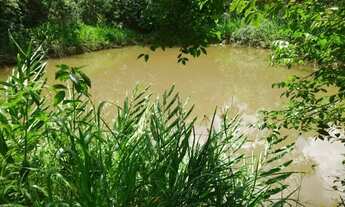 Imagem: Fazendinha 6 ha, casa, fogão a lenha, arvores