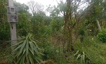 Imagem 3: Chacrinha em Mandirituba