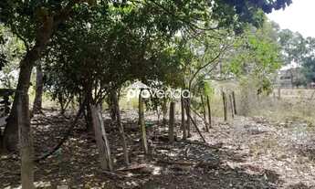 Imagem 4: CHÁCARA 29,66 HECTARES / 6,12 ALQUEIRES - ITAPURANGA - GO