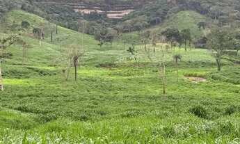 Imagem 2: área de terra de 247 alqueires com excelente localização na região da cidade de