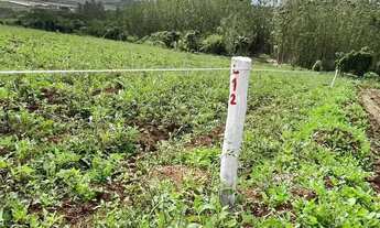 Imagem 6: Lotes em Cotia a partir de R$59.999, com fácil acesso e sem SPC/Serasa