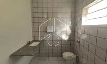 Imagem 4: Comercial LojaSalão em Marília