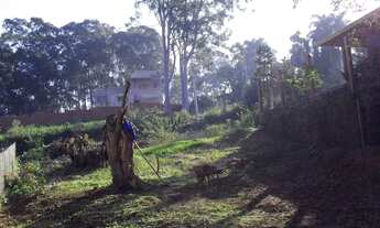Imagem 7: Terreno à venda, Scharlau, São Leopoldo, RS