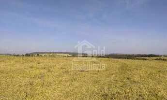 Imagem 4: Sitio com 22 alqueires na região de Cajuru-SP