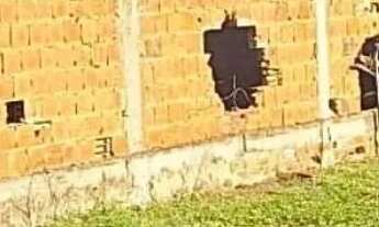 Imagem 4: Lote com 245M² no Matapoã no Bairro Mosqueiro