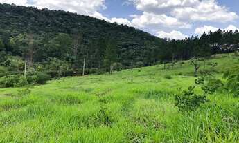 Imagem 4: TERRENO DE 1000M² EM SÃO ROQUE