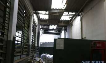 Imagem 7: PRÉDIO - CARRÃO - SP