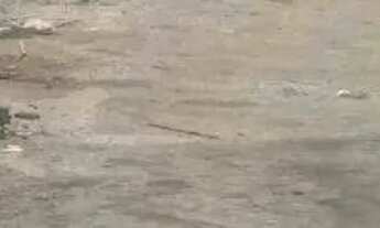 Imagem 4: Terreno à venda, 1888 m² por R$ 4.500.000,00 - Parque Boturussu - São Paulo/SP