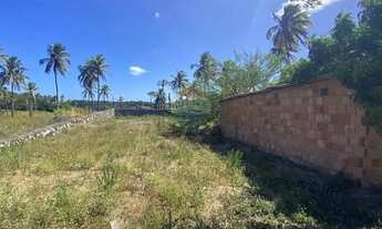 Imagem 6: Lote Murado em Maragogi - AL Condomínio Praia Dourada Prime