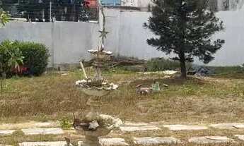 Imagem 3: Venda Casa Comercial Cohajap São Luis MA