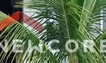 Imagem 4: Casa de condomínio em Rua Messias José Barbosa - Jardim das Flores - São José dos Campos/S