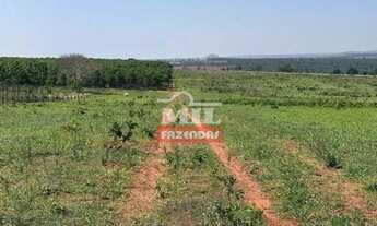 Imagem 7: Fazenda 40 alqueires (193 hectares) Cachoeira de Goias - GO