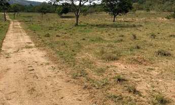 Imagem 2: Fazenda em Campinaçu-Go de 201.9 alqueires