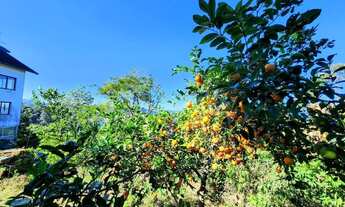 Imagem 7: Terreno para Venda em Nova Petrópolis, Vila Olinda