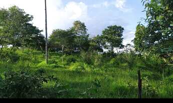 Imagem 6: Vende -se uma excelente chácara de 4/5 alqueires no município de Abadiânia