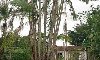 Imagem 2: Terreno a venda Terreno / lote com venda por R$60.000