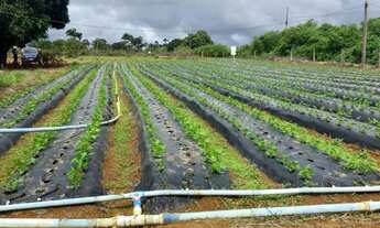 Imagem 4: Vendo Excelente Chácara 5,2 hectares, Radiobras, Brazlândia/DF