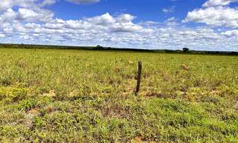 Imagem 6: Fazenda em Novo Acordo/Rio Sono
