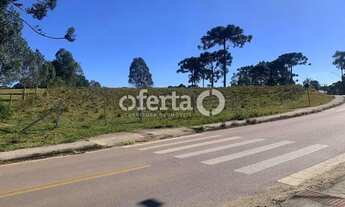 Imagem: Terreno no Costeira / Araucária - 23.222m2