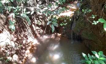 Imagem 6: Chácara disponível para venda na área rural de Uberlândia-MG